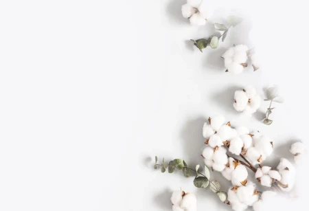 Baumwollzweige und Eukalyptus auf hellem Hintergrund für Save the Date Karten zur Hochzeit