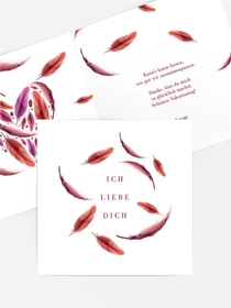 Hauch von Federn Hauch von Federn