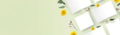 Slider background Slider background