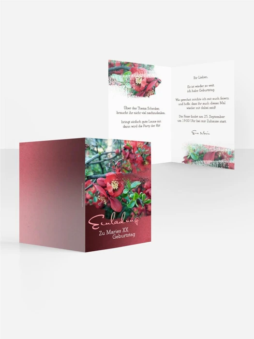 Product preview