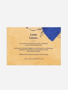 Product preview