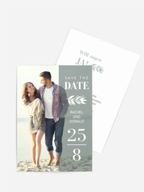 Gewächs