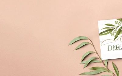 Slider background Slider background