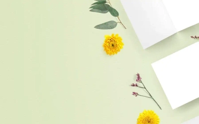 Slider background Slider background