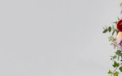 Slider background