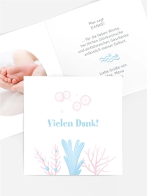 Kleiner Wal Kleiner Wal