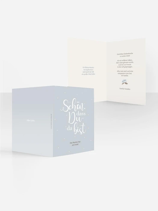 Product preview