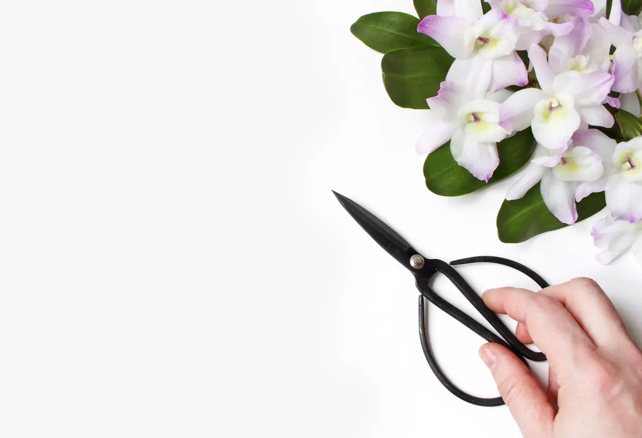 Weiße und zart violette Orchideen mit Schere als elegante Inspiration für Hochzeitskarten