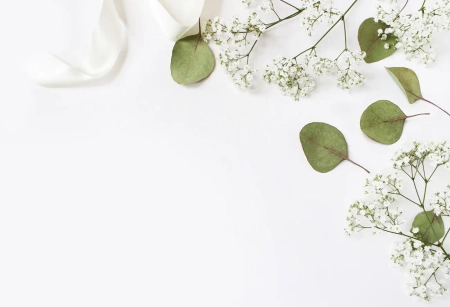 Weiße Blumen, grüne Blätter und ein Stoffband auf hellem Hintergrund mit freier Fläche für Text