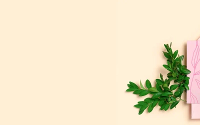 Slider background Slider background
