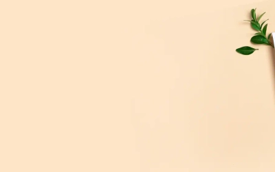 Slider background Slider background