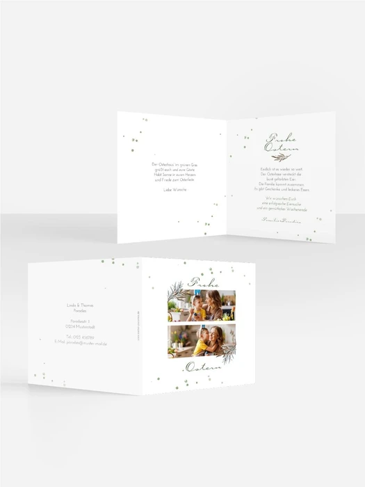 Product preview