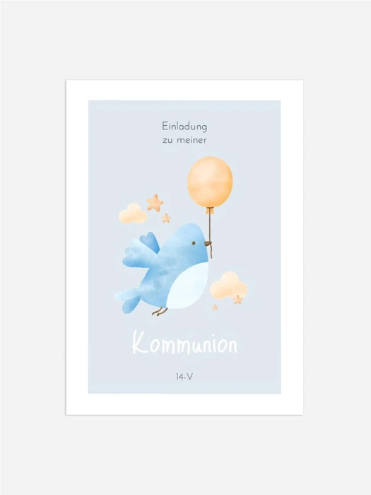 Product preview