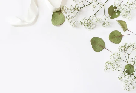 Zartes Schleierkraut und Eukalyptus auf hellem Hintergrund für Save the Date Karten zur Hochzeit