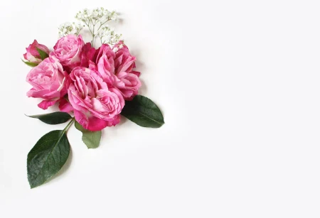 Pinke Rosen auf hellem Hintergrund als romantische Inspiration für Save the Date Karten zur Hochzeit
