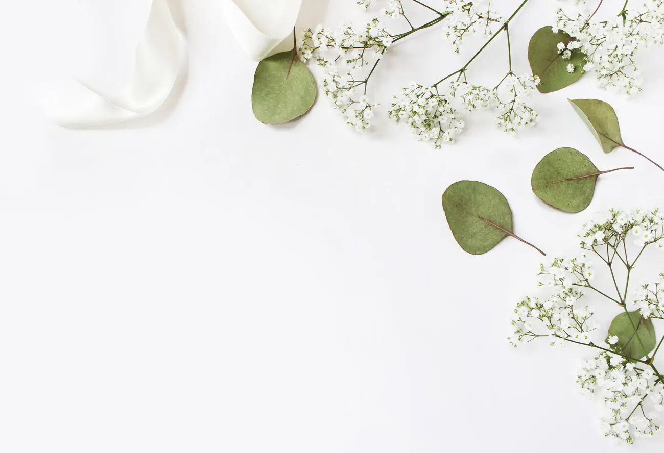 Weiße Blumen, grüne Blätter und ein Stoffband auf hellem Hintergrund mit freier Fläche für Text