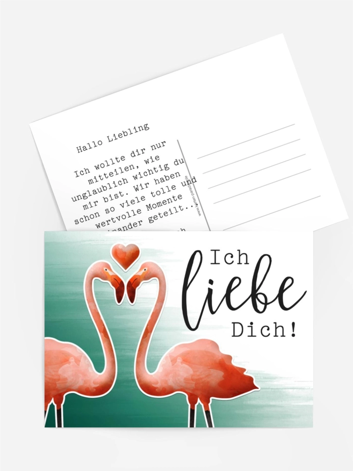 Flamingo