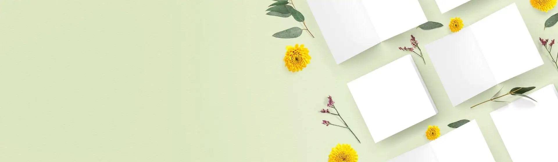 Slider background Slider background