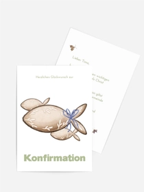 Zerbrechliche Schmetterlinge Zerbrechliche Schmetterlinge