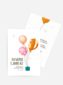 Katzenballon Katzenballon